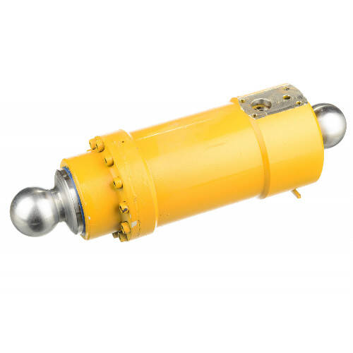 Plunger Cylinder Q200-80 278901009
