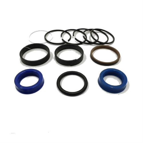Set of seals for the plunger cylinder 160-50 / 28, 3 outlets, 054217001