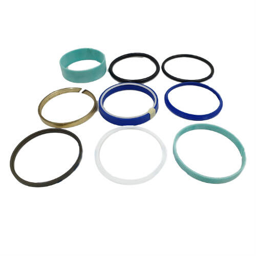 Set of seals for the plunger cylinder 160-80, 2 outlets, 247093003 (247093TM)
