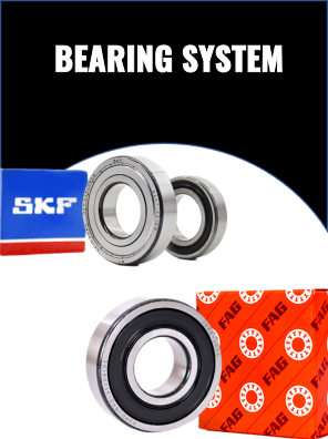 Bearings System